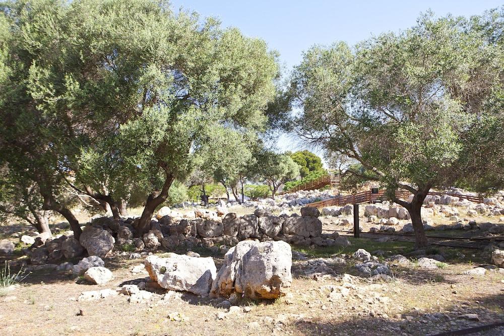 Lägenhetshotell Bj Playamar & S'Illot (Mallorca)